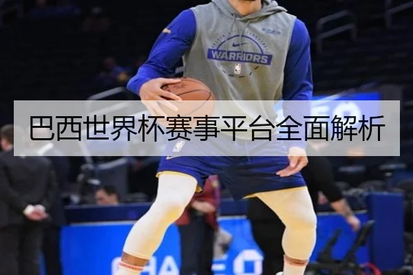 巴西世界杯赛事平台全面解析
