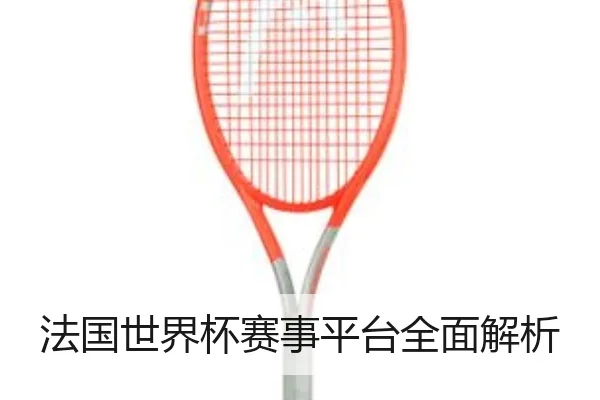 法国世界杯赛事平台全面解析