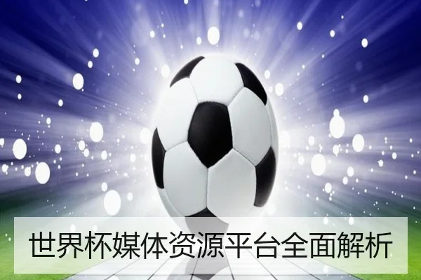 世界杯媒体资源平台全面解析