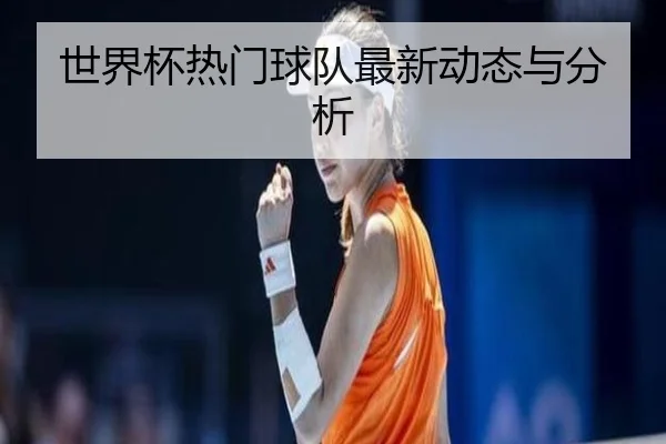 世界杯热门球队最新动态与分析