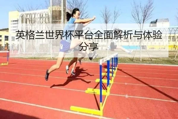 英格兰世界杯平台全面解析与体验分享