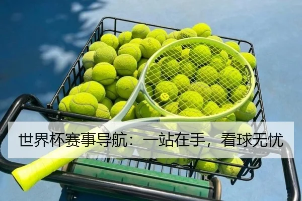 世界杯赛事导航：一站在手，看球无忧