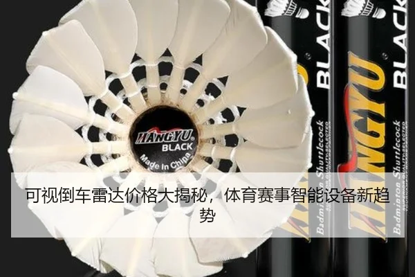 可视倒车雷达价格大揭秘，体育赛事智能设备新趋势