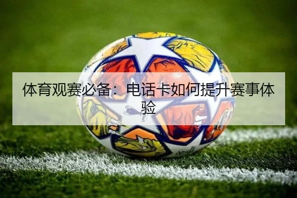 体育观赛必备：电话卡如何提升赛事体验